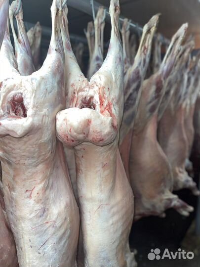 Мясо баранина халяль в оптом и розницу