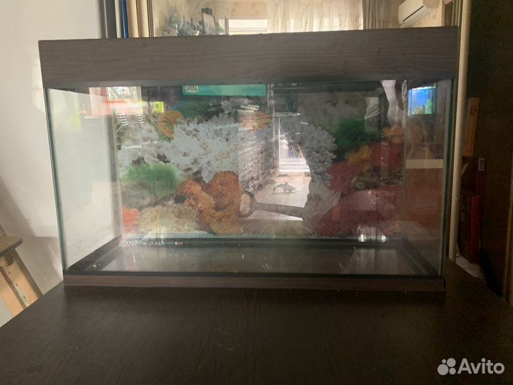 Аквариум