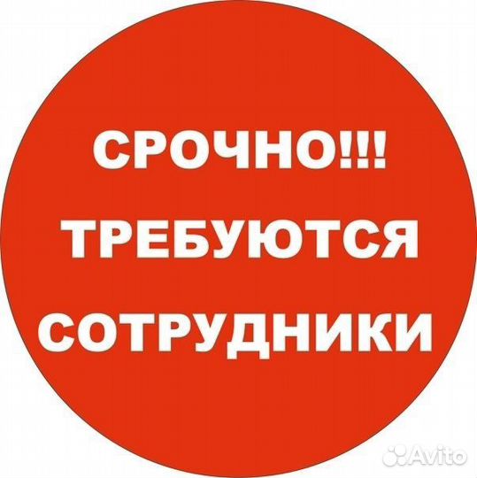 Вечерняя подработка с ежедневными выплатами