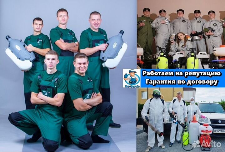 Уничтожение тараканов клопов. Дезинфекция