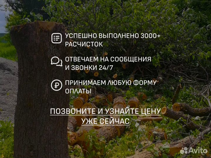 Расчистка участка, уборка,спил деревьев,корчевание