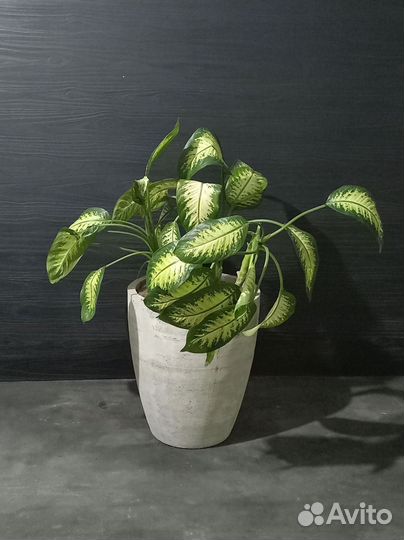 Горшки, Вазоны, Кашпо под заказ из бетона арт 188