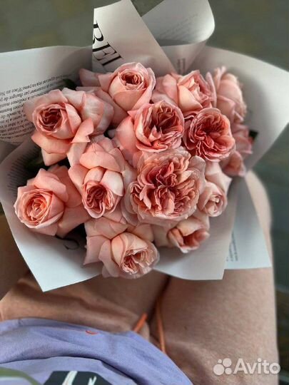 Французская роза в упаковке