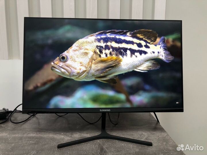Монитор SunWind SUN-M24BA103 23.8