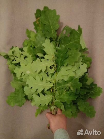 Веники дубовые пихтовые и березовые