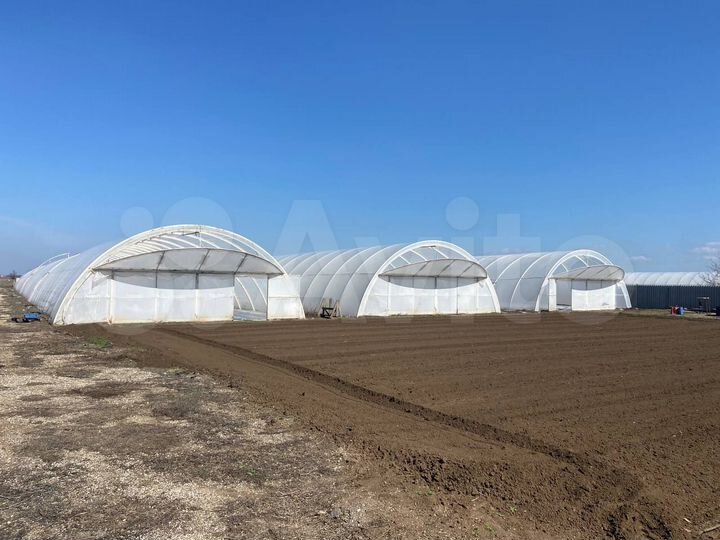 Участок 1,25 га (ИЖС)