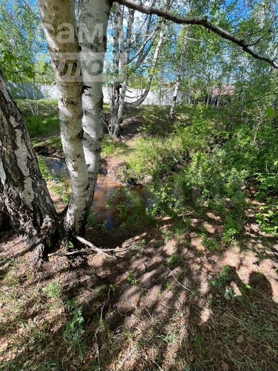 Участок 11,3 сот. (СНТ, ДНП)