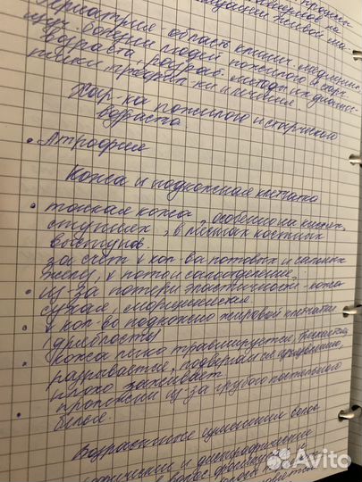 Лекции,переделка текстов в электронный вариант