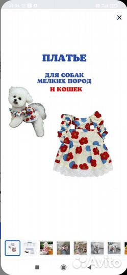 Платье для собачки и кошечки