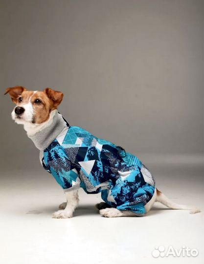 Комбинезон для собаки деовчки в отличном состоянии