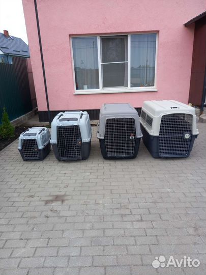 Переноски для собак