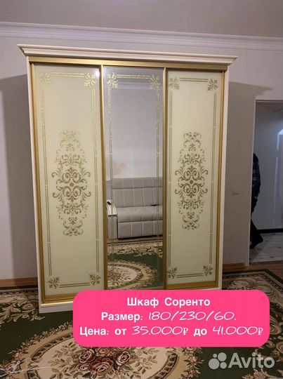 Шкаф купе / распашной шкаф