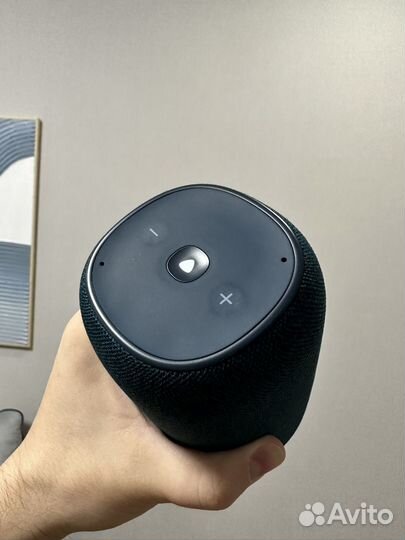 JBL Link Portable (витрина)