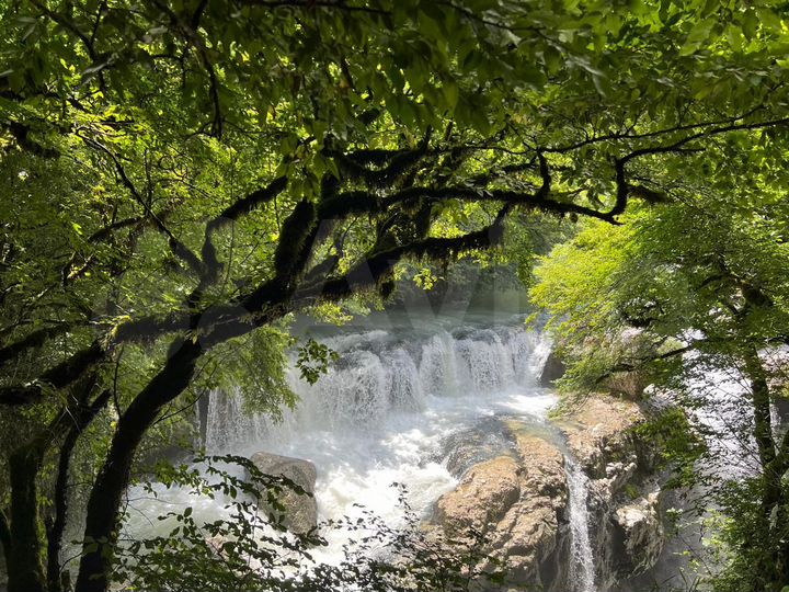 Участок 10 сот. (СНТ, ДНП)