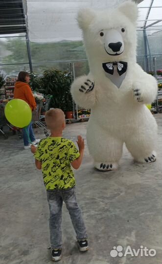 Медведь белый,панда,зайка,Джонни.Поздравления Тула