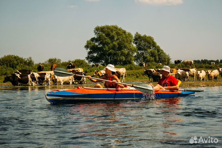 Прокат байдарок, организация сплавов