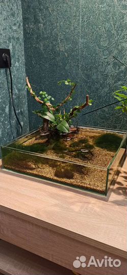 Аквариум Флорариум