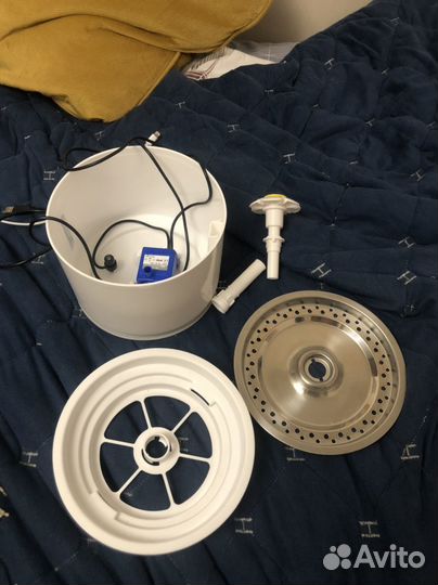 Фонтанчик кошачий