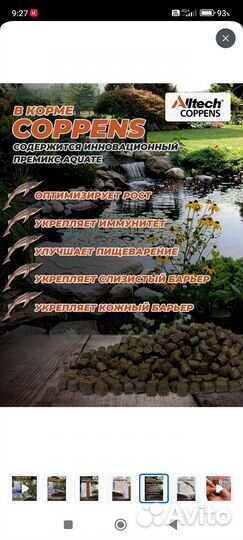 Корм и растение