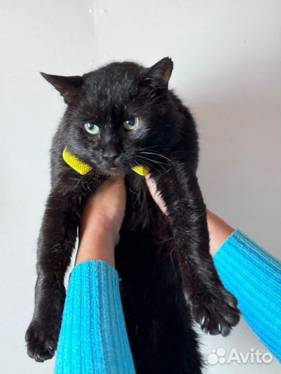 Космос ищет дом