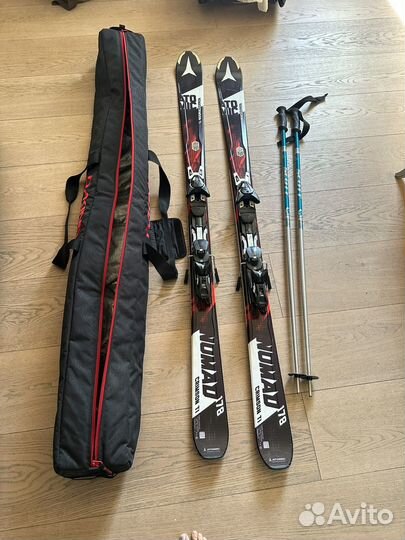 Горные лыжи