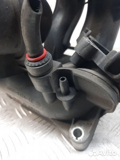 Коллектор впускной Ford Focus хэтчбэк 5 дв. 1.6