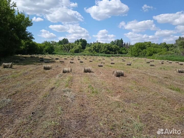 Продаётся сено в рулонах покос 2023 18-20кг