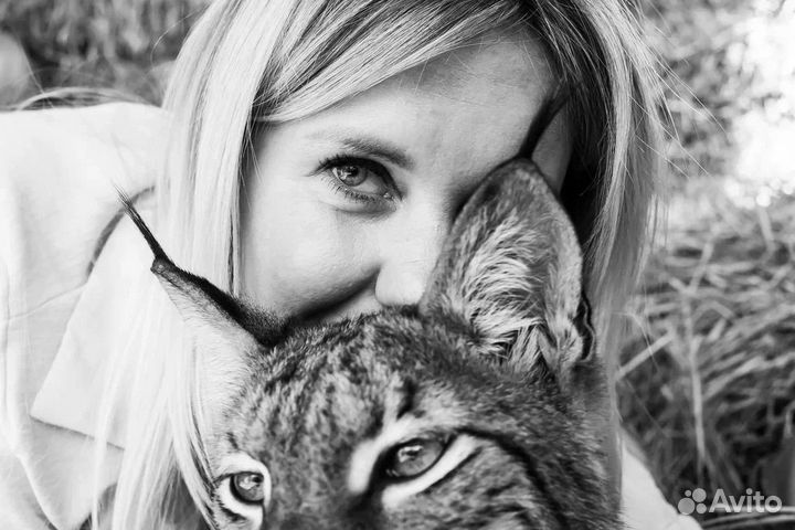 Видеограф/Фотограф Готовность за 1 день