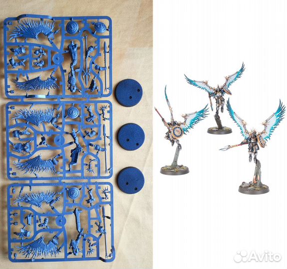 Warhammer Age of Sigmar Prosecutors