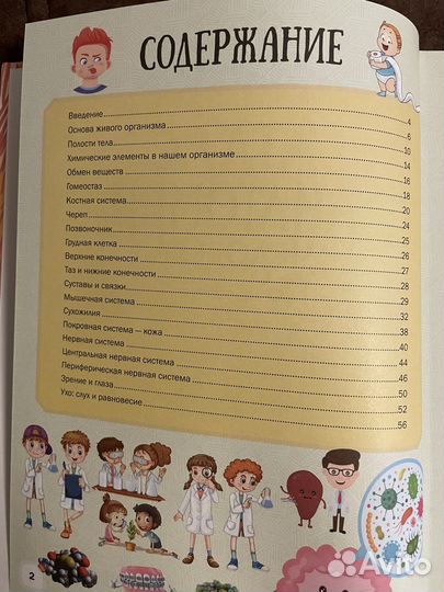 Детский Атлас анатомии человека новый