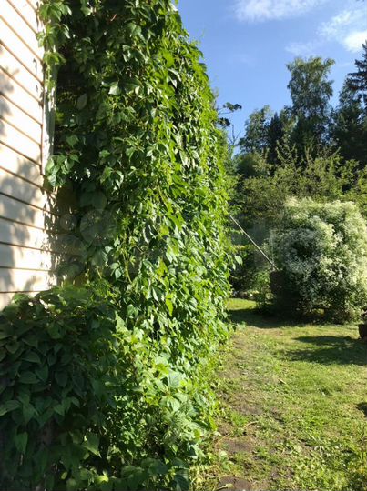 Дача 120 м² на участке 10 сот.