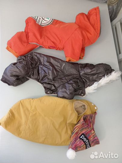 Одежда для собак