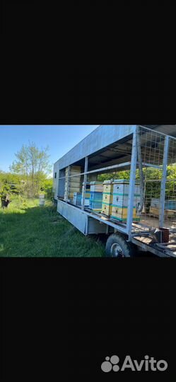 Пчелоприцеп