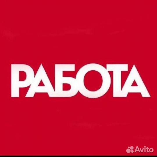 Работа (без опыта)