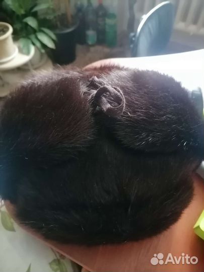 Мужская норковая Шапка-ушанка СССР