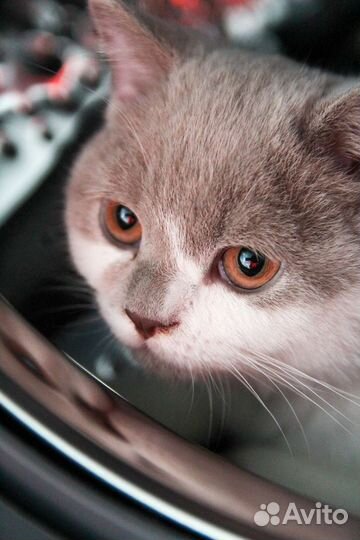 Фотограф фотосессия lifestyle Москва