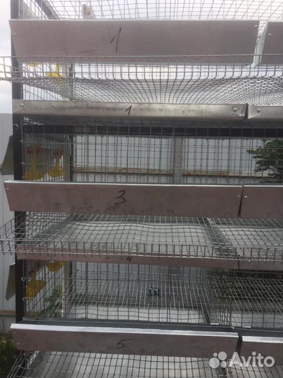 Клетки для перепелов от заводчиков перепелов