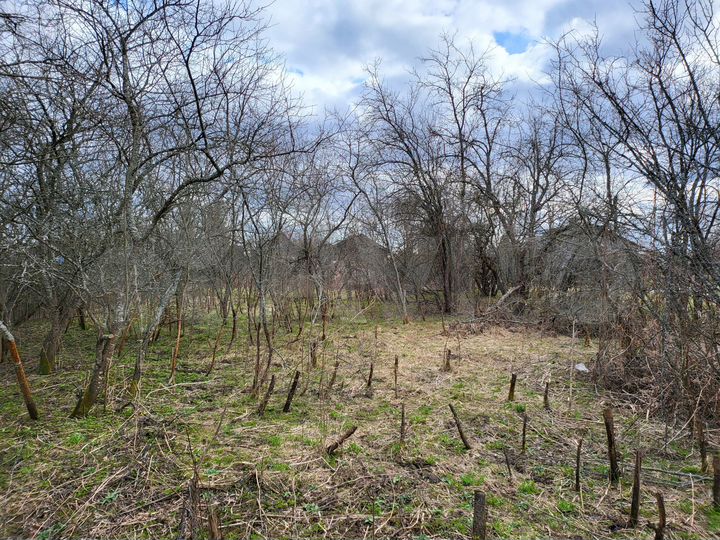 Дом 50 м² на участке 41 сот.