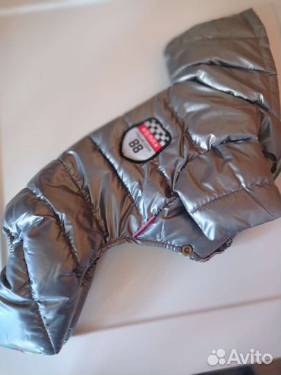 Комбинезон для маленькой собаки