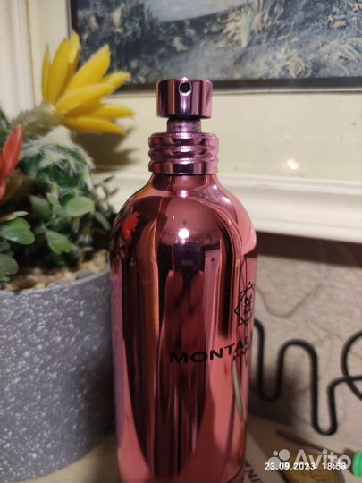 Montale roses musk парфюм оригинал