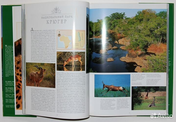 Самые знаменитые заповедные места мира