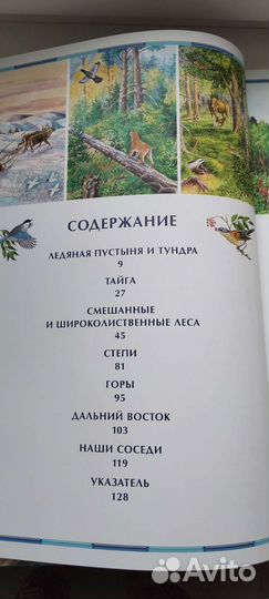 Энциклопедия. Природа России