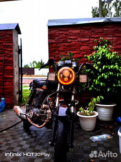 Альфа спорт