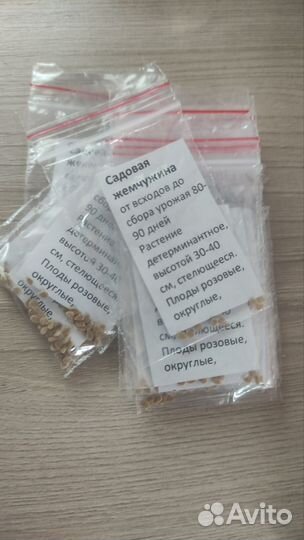 Семена томатов для кашпо