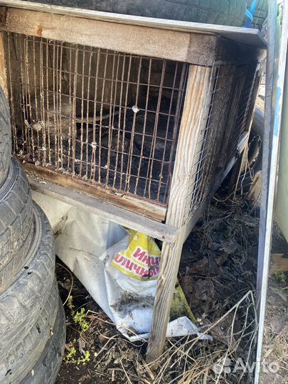 Клетка для кролика большая