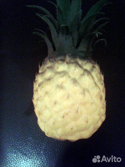 Ананас (искусственный)