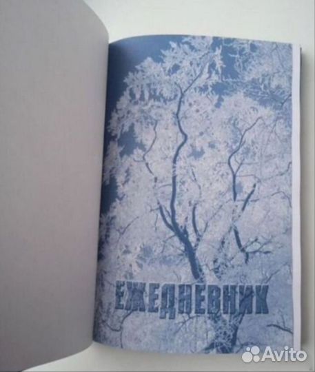 Редкий ежедневник