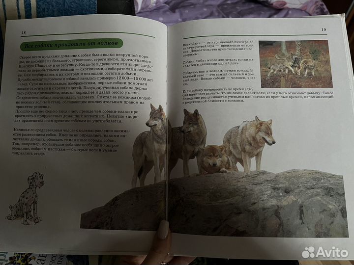 Книги про животных