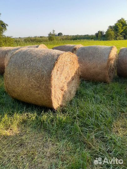 Сено луговое в рулонах