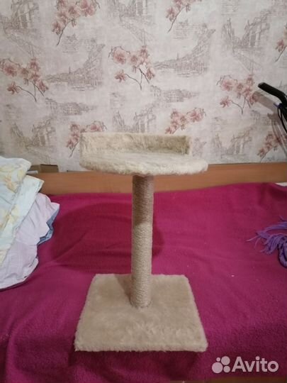 Когтеточка